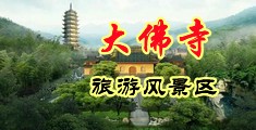东北骚B中国浙江-新昌大佛寺旅游风景区